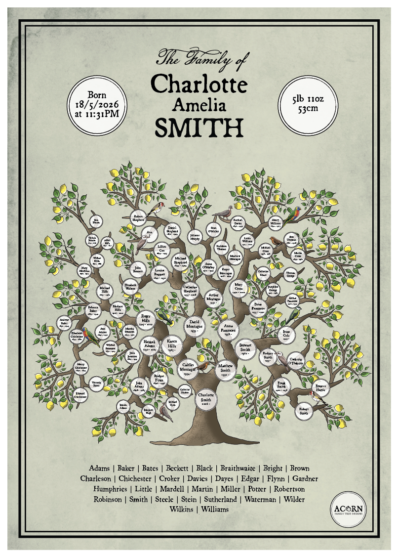 THE NEW BABY FAMILY TREE | ACORN FAMILY TREE DESIGNS