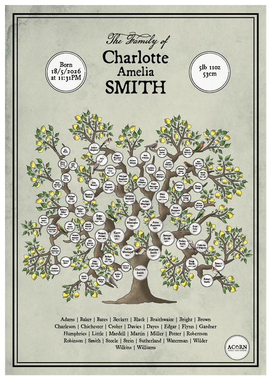 THE NEW BABY FAMILY TREE | ACORN FAMILY TREE DESIGNS
