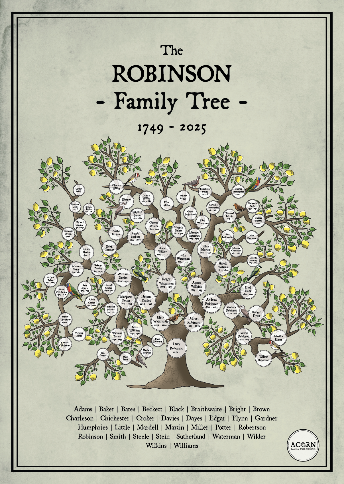 PEDIGREE FAMILY TREE ART | ACORN FAMILY TREE DESIGNS