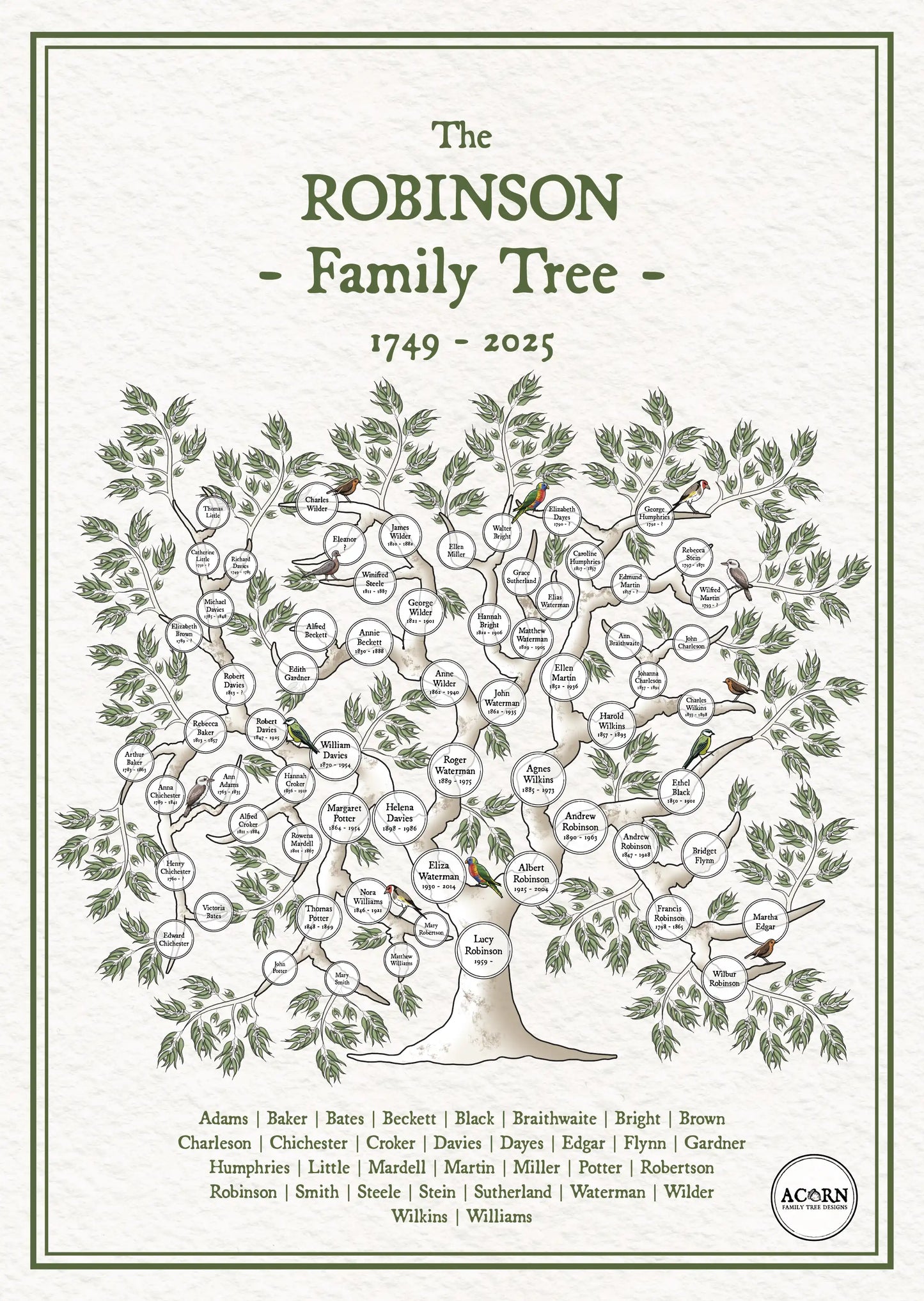 PEDIGREE FAMILY TREE ART | ACORN FAMILY TREE DESIGNS