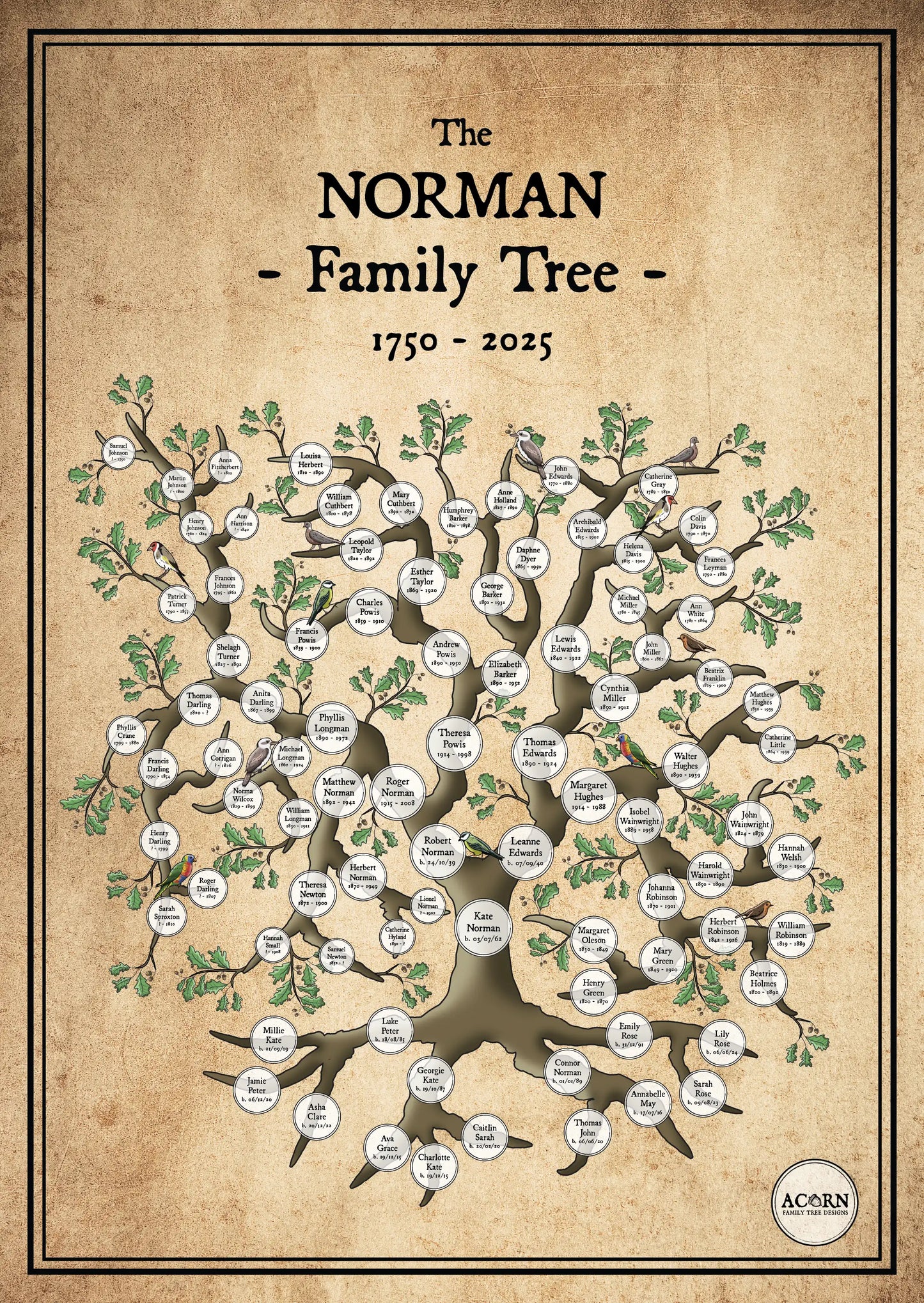 HOURGLASS FAMILY TREE ART | ACORN FAMILY TREE DESIGNS
