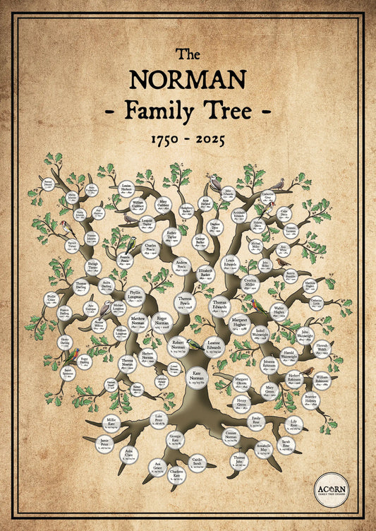 HOURGLASS FAMILY TREE ART | ACORN FAMILY TREE DESIGNS