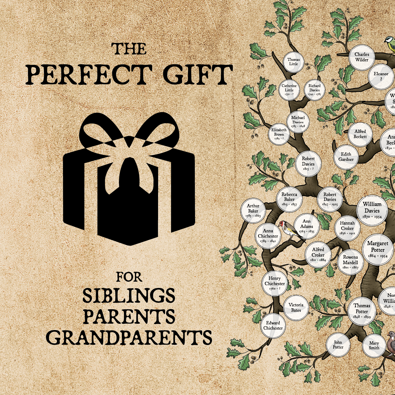 PEDIGREE FAMILY TREE ART | ACORN FAMILY TREE DESIGNS