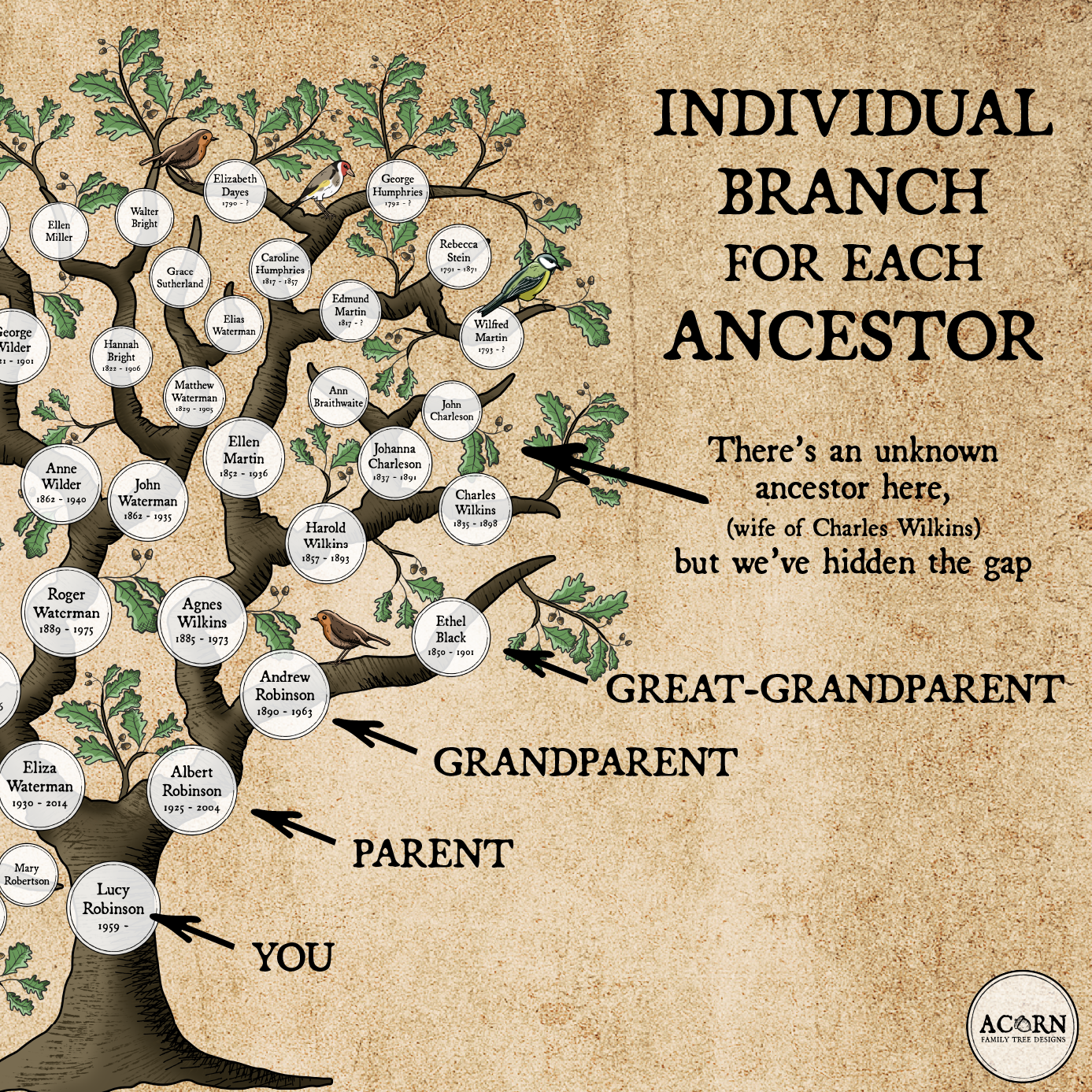 PEDIGREE FAMILY TREE ART | ACORN FAMILY TREE DESIGNS