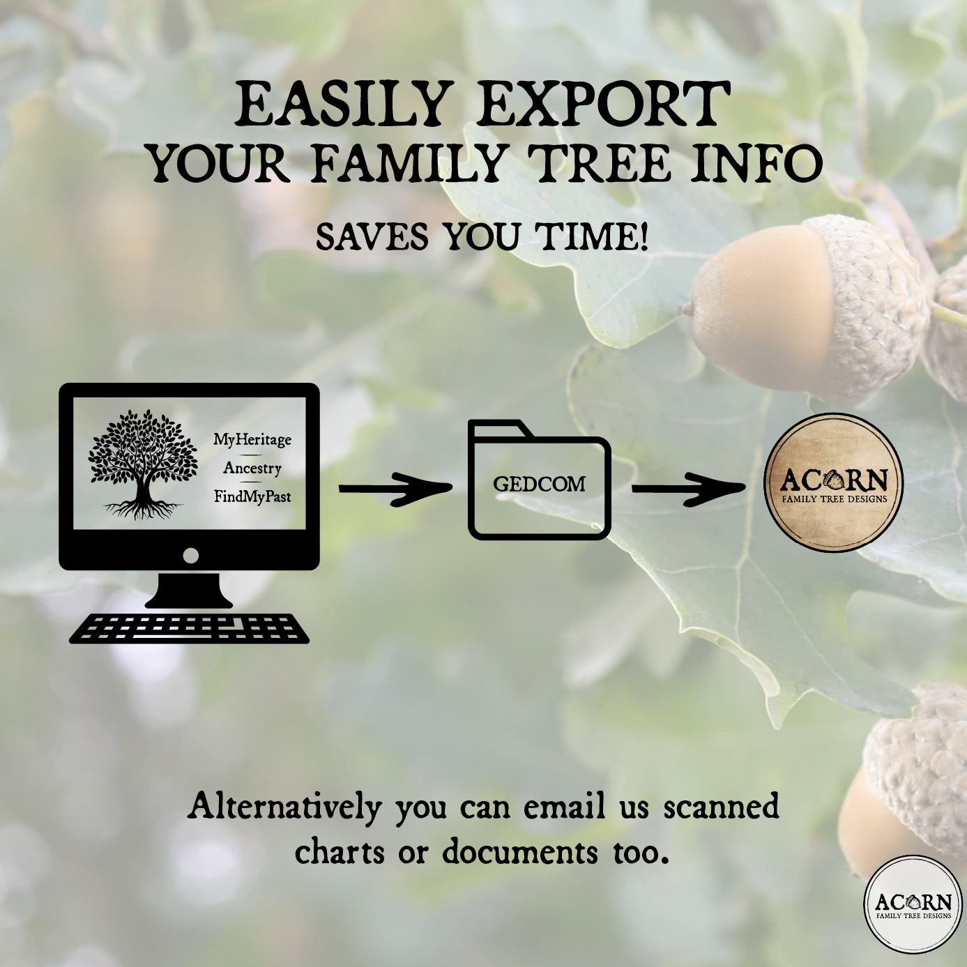 PEDIGREE FAMILY TREE ART | ACORN FAMILY TREE DESIGNS