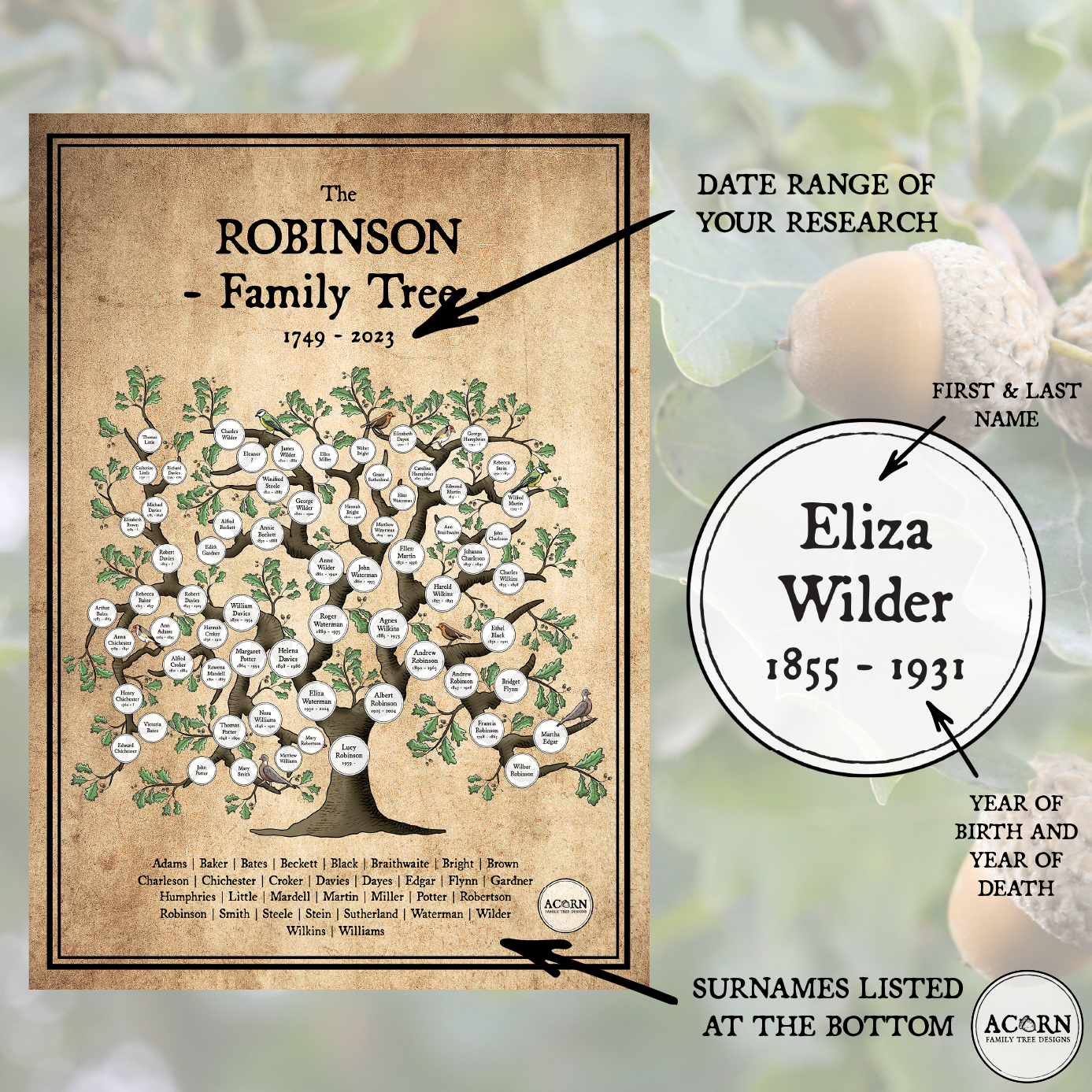 PEDIGREE FAMILY TREE ART | ACORN FAMILY TREE DESIGNS
